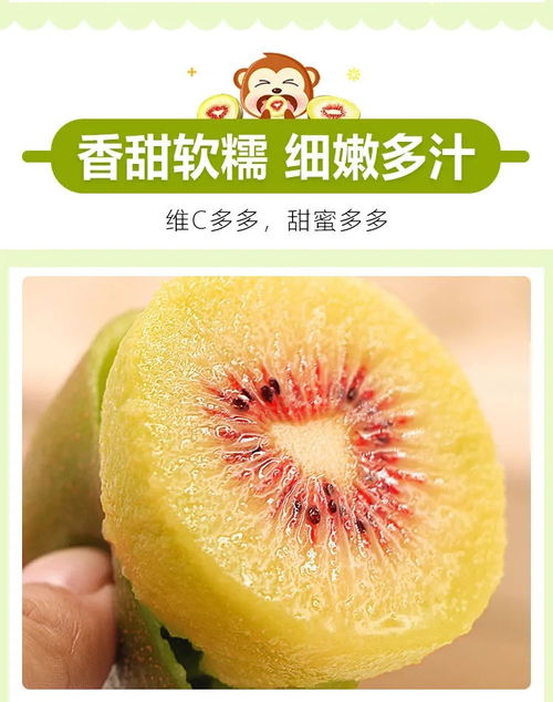 四川紅心獼猴桃 產(chǎn)地直供，新鮮水果，專屬特色上頂?shù)谋ｕr體驗(yàn)